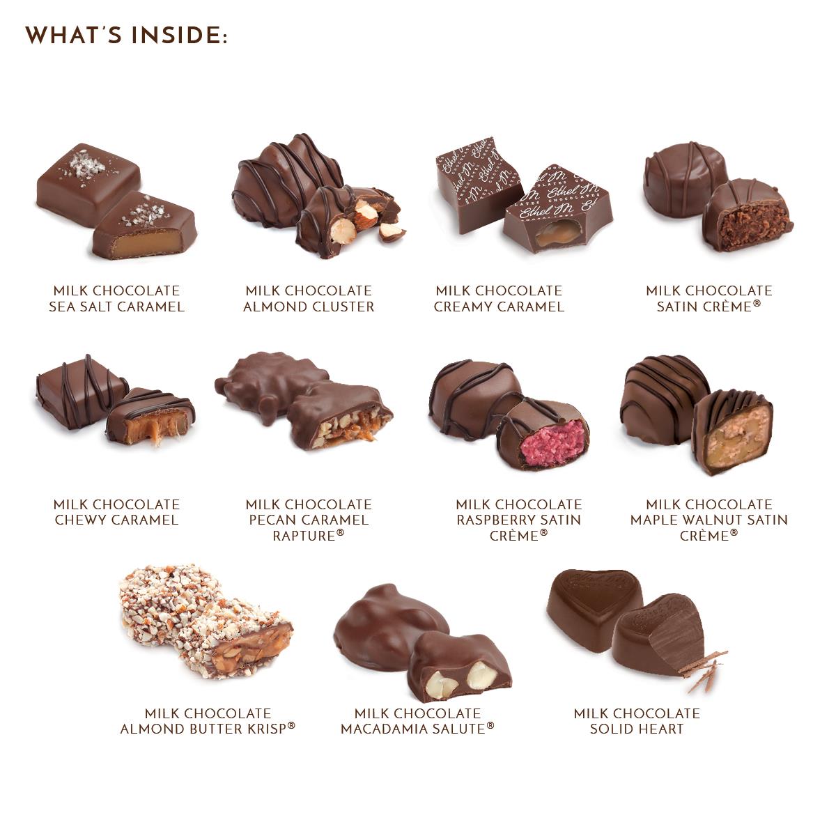 What's Inside Milk Chocolate Collection