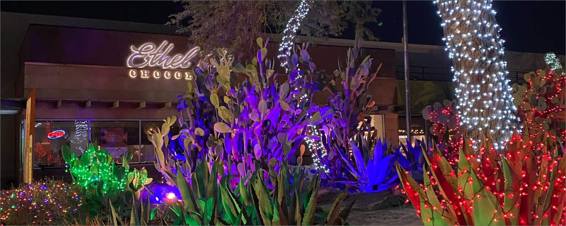 30th Annual Holiday Cactus Garden Lights